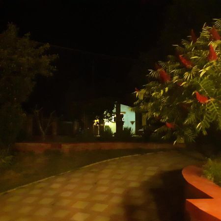 Village House Moo Moo Vranje Luaran gambar