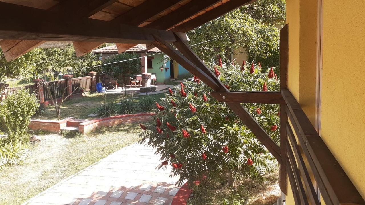 Village House Moo Moo Vranje Luaran gambar